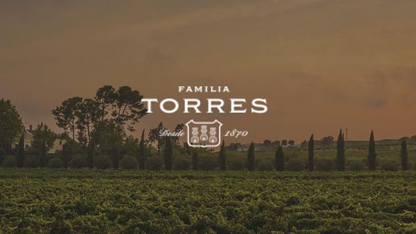 Torres Vinprovning
